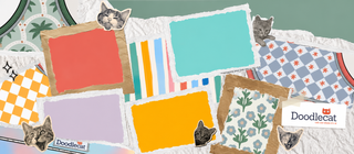 Meet The Curious Cats Club