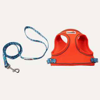Roaming Harness & Lead Set - Tangerine/ Reef