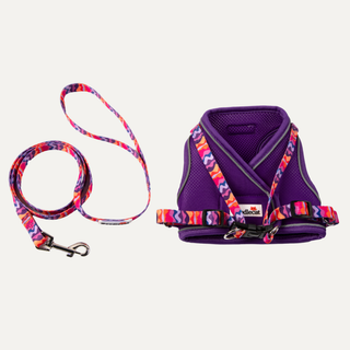 Roaming Harness & Lead Set - Violet/ Dunes
