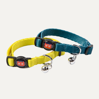 Collar Duo - Citrus & Teal